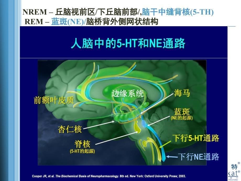 失眠与焦虑抑郁武汉顾平_第5页