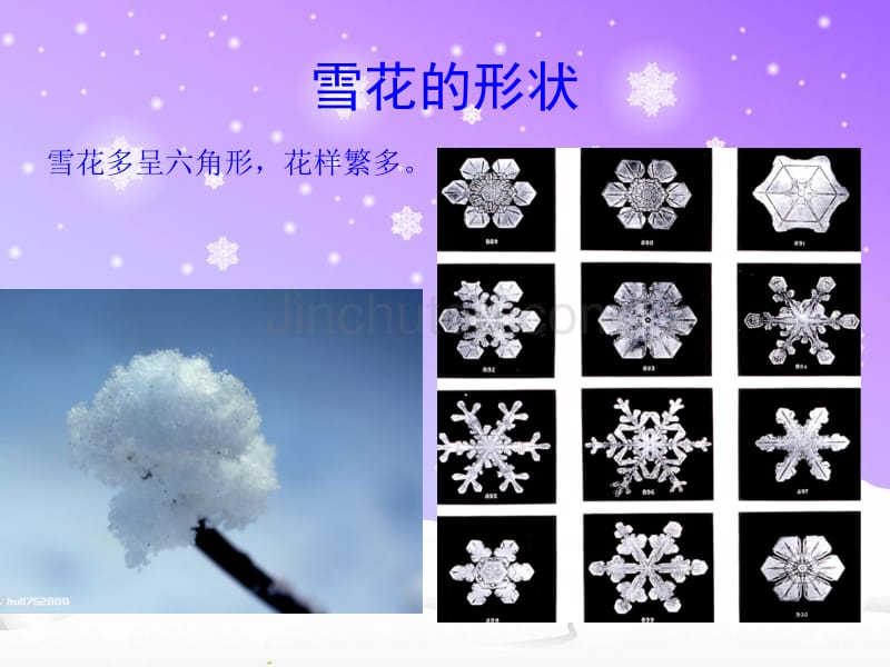 雪的介绍,幼儿园课件_第2页