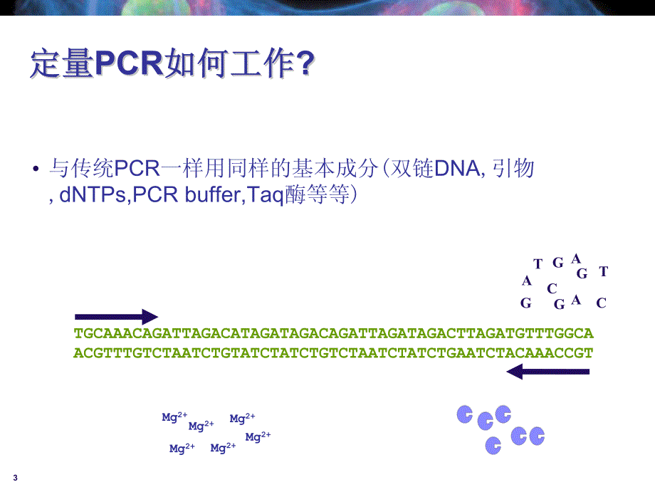 [医药卫生]Module 1 定量PCR介绍_第3页