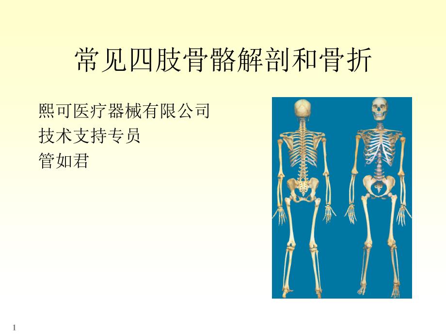 四肢骨骼解剖和骨折_第1页