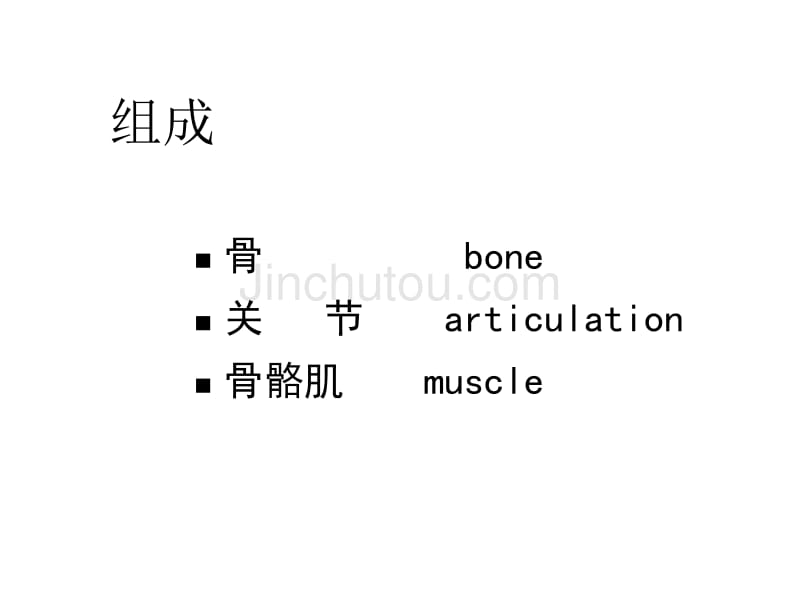 内脏学消化系统_第2页