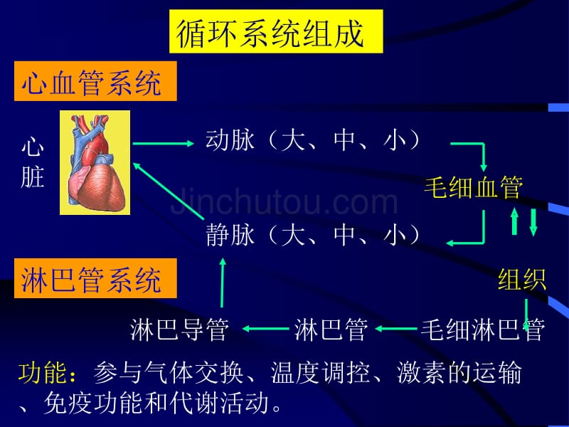 [医学]循环系统2_第5页