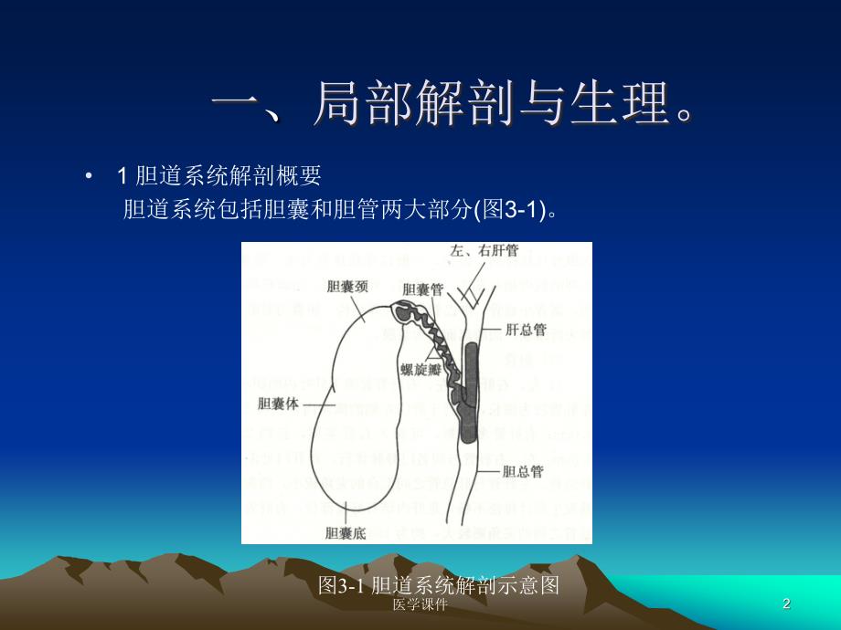 B超胆系疾病_第2页