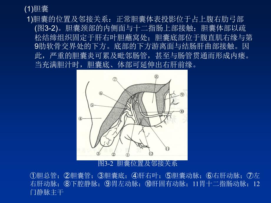 B超胆系疾病_第3页