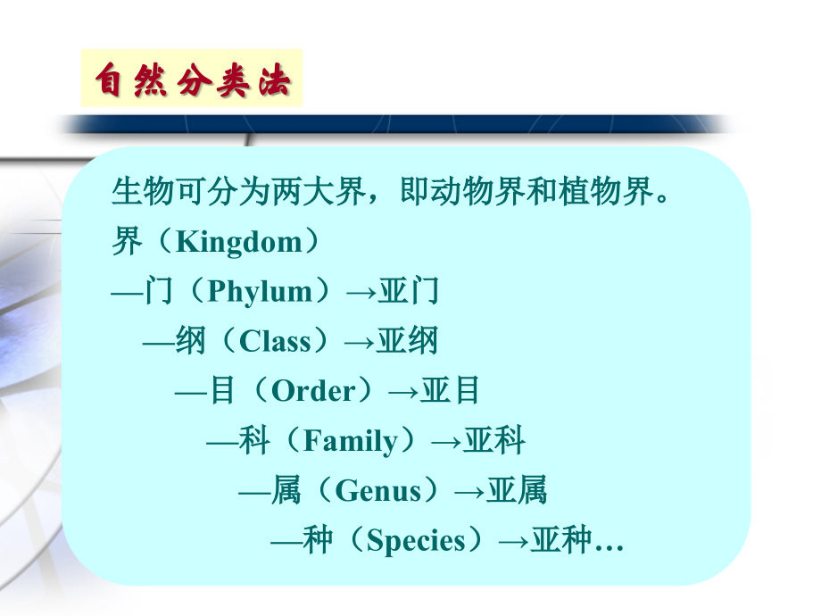 实验动物的分类方法0905028_第4页