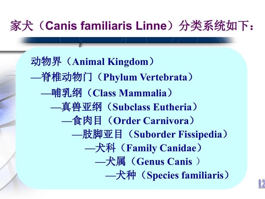 实验动物的分类方法0905028_第5页