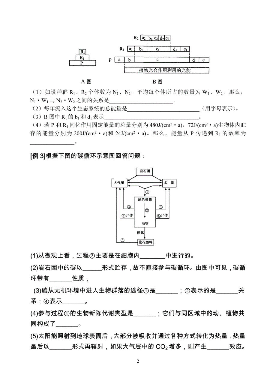 生态系统能量流动(复习课教学设计)_第2页