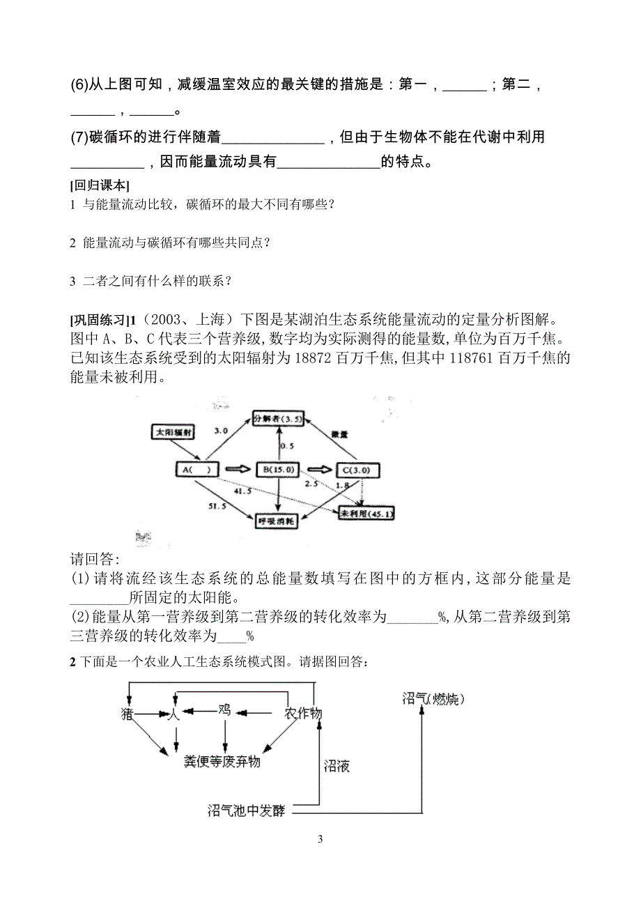 生态系统能量流动(复习课教学设计)_第3页