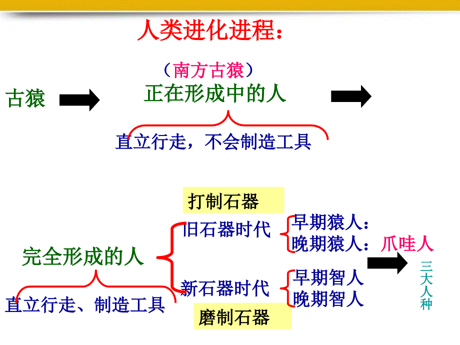 九年级历史上学期期中复习课件 华东师大版_第2页