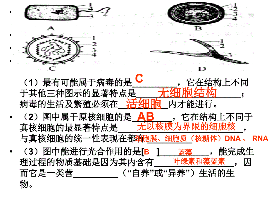 高一生物期末复习课件_第3页