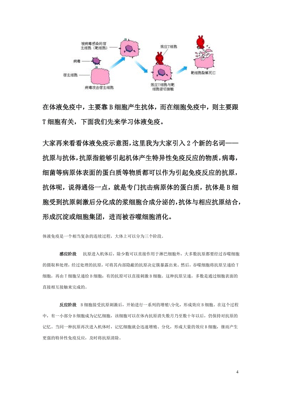 免疫——泡泡男孩_第4页