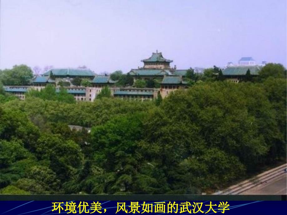 [农学]1 生物化学导论_第1页