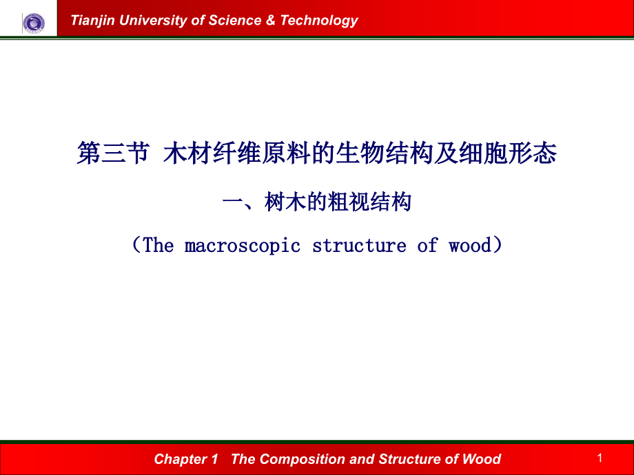木材纤维原料的生物结构及细胞形态_第1页