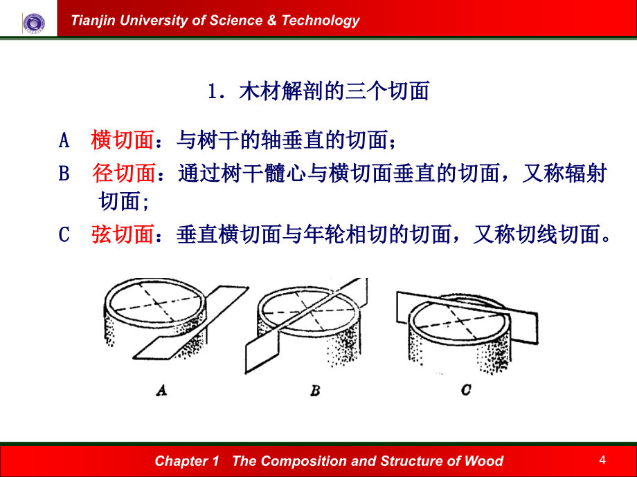 木材纤维原料的生物结构及细胞形态_第4页