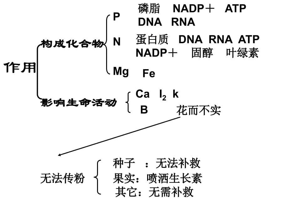 蛋白质7---省级示范性高中所用教学课件_第5页