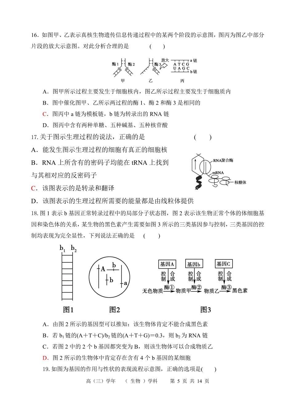 周测试 小晚 (12.9)_第5页