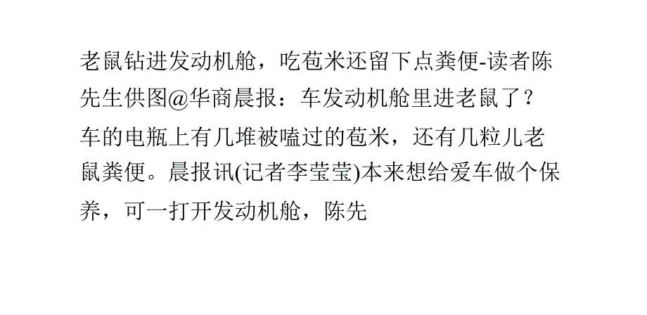 老鼠钻进发动机舱隐患大 咬线路或致车起火_第1页