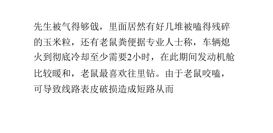 老鼠钻进发动机舱隐患大 咬线路或致车起火_第2页