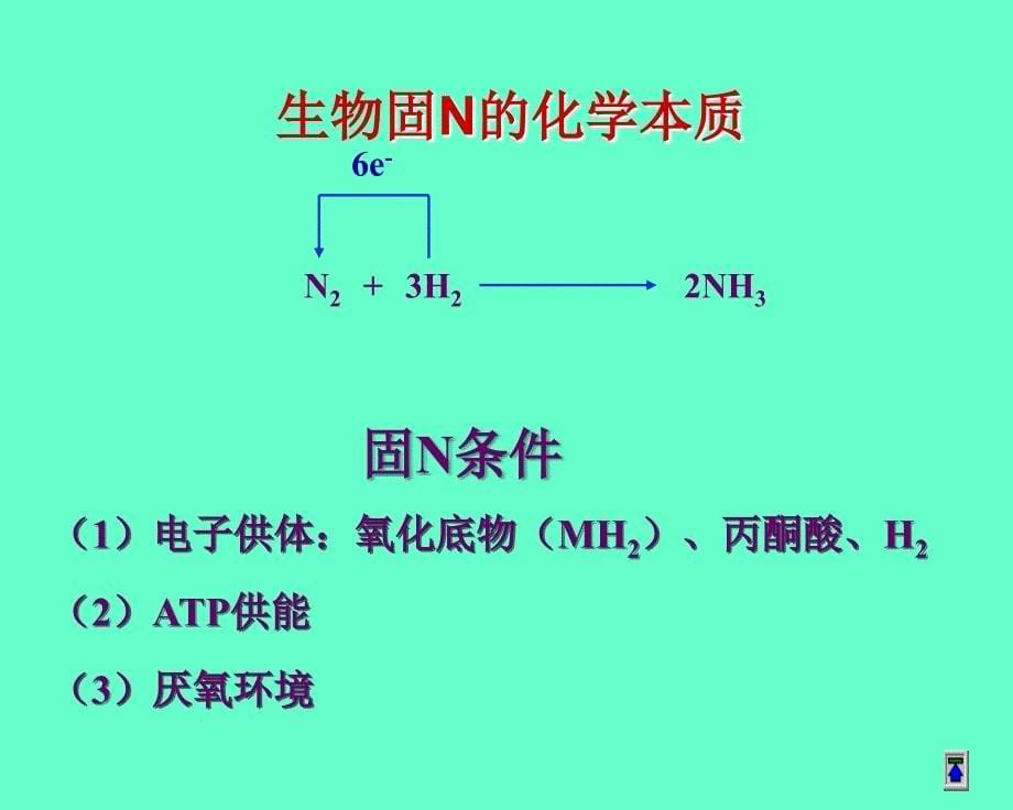 氨基酸生物合成_第5页