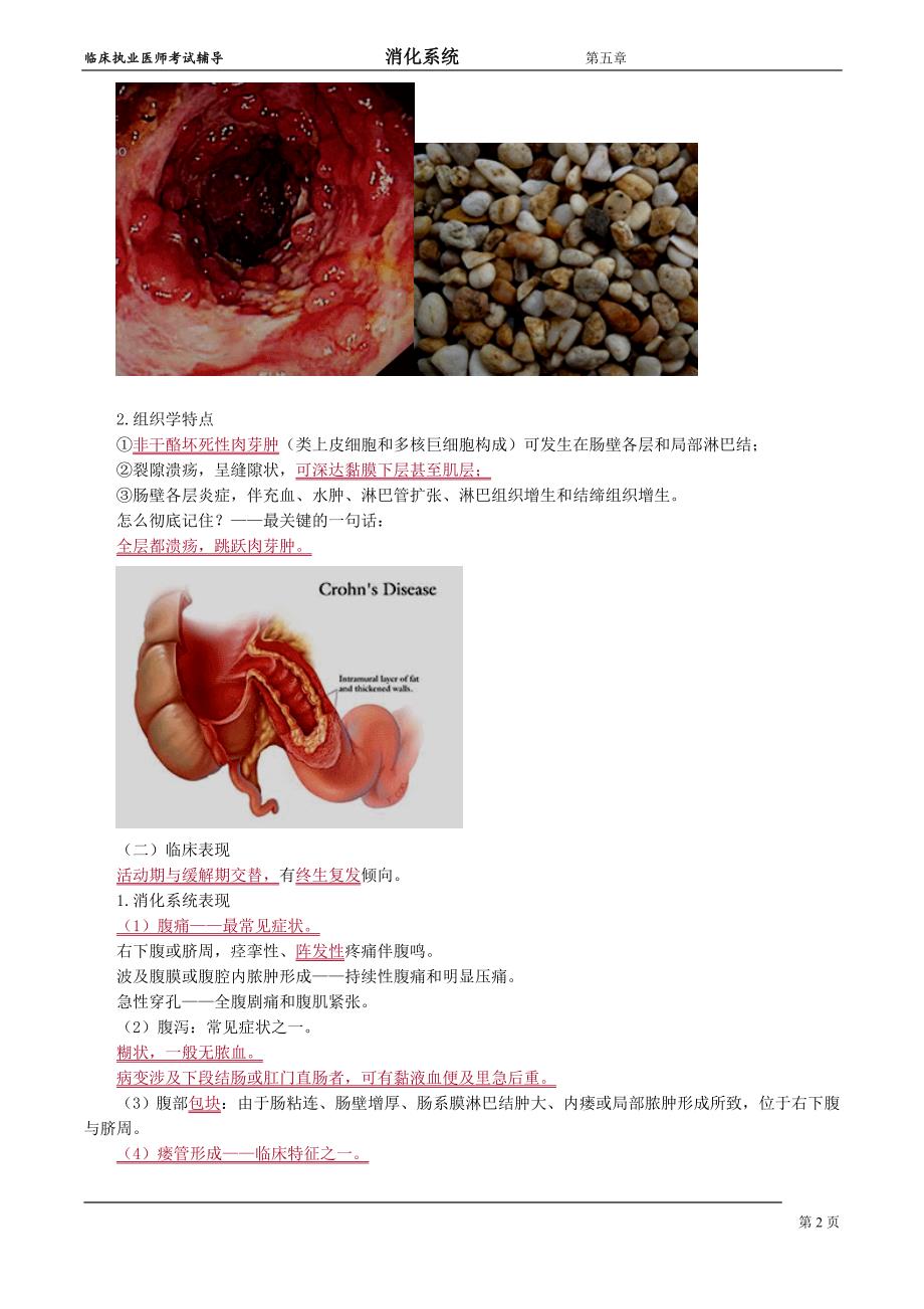 消化系统xhxt_jy0501_第2页