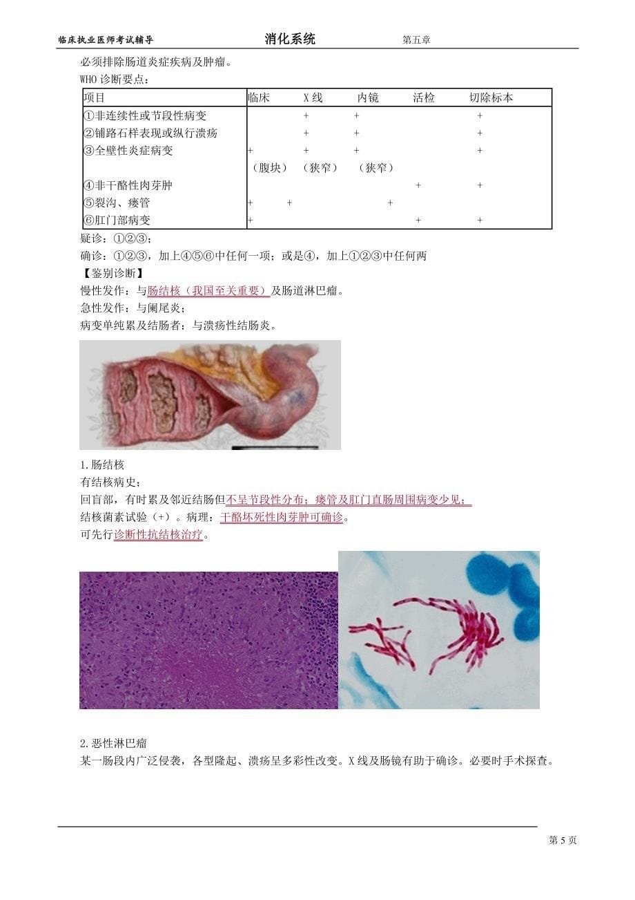 消化系统xhxt_jy0501_第5页