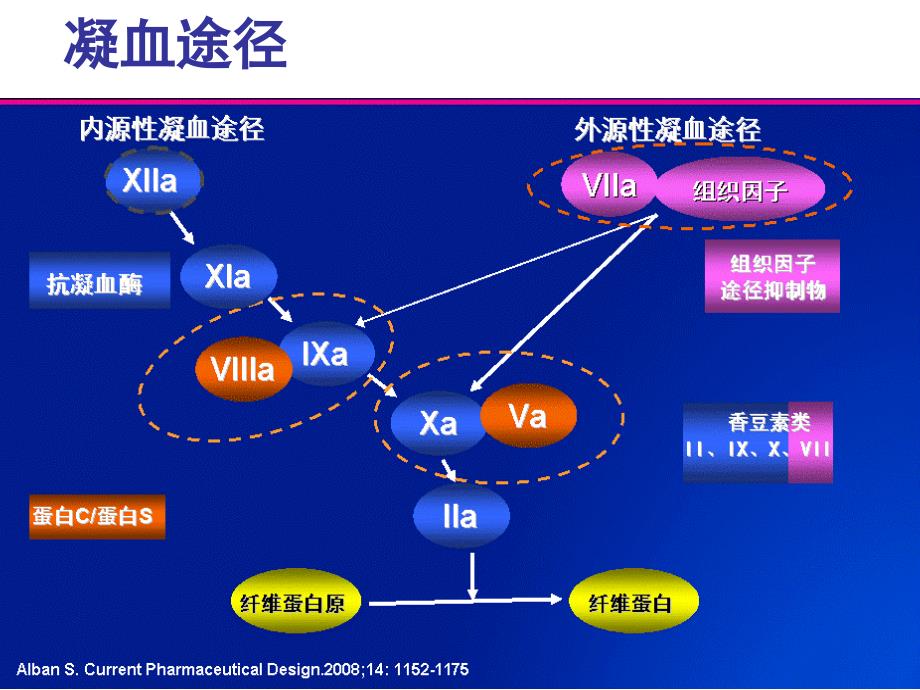 凝血系统的个体化用药探讨  4-23_第4页