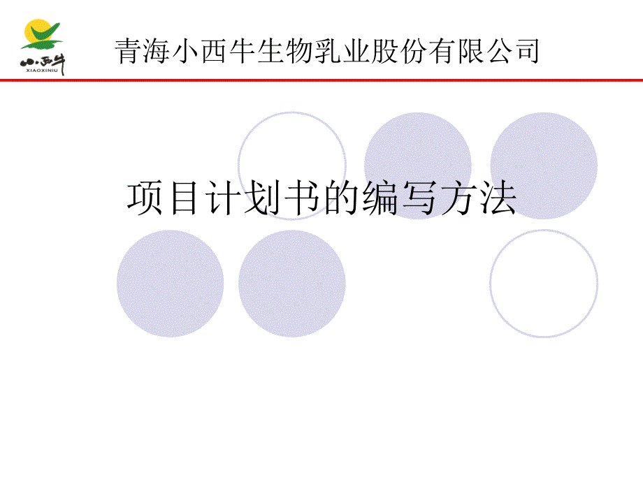 项目计划书的编写方法_第1页