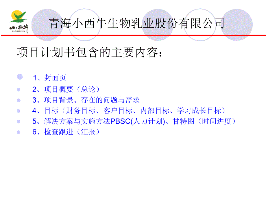 项目计划书的编写方法_第2页