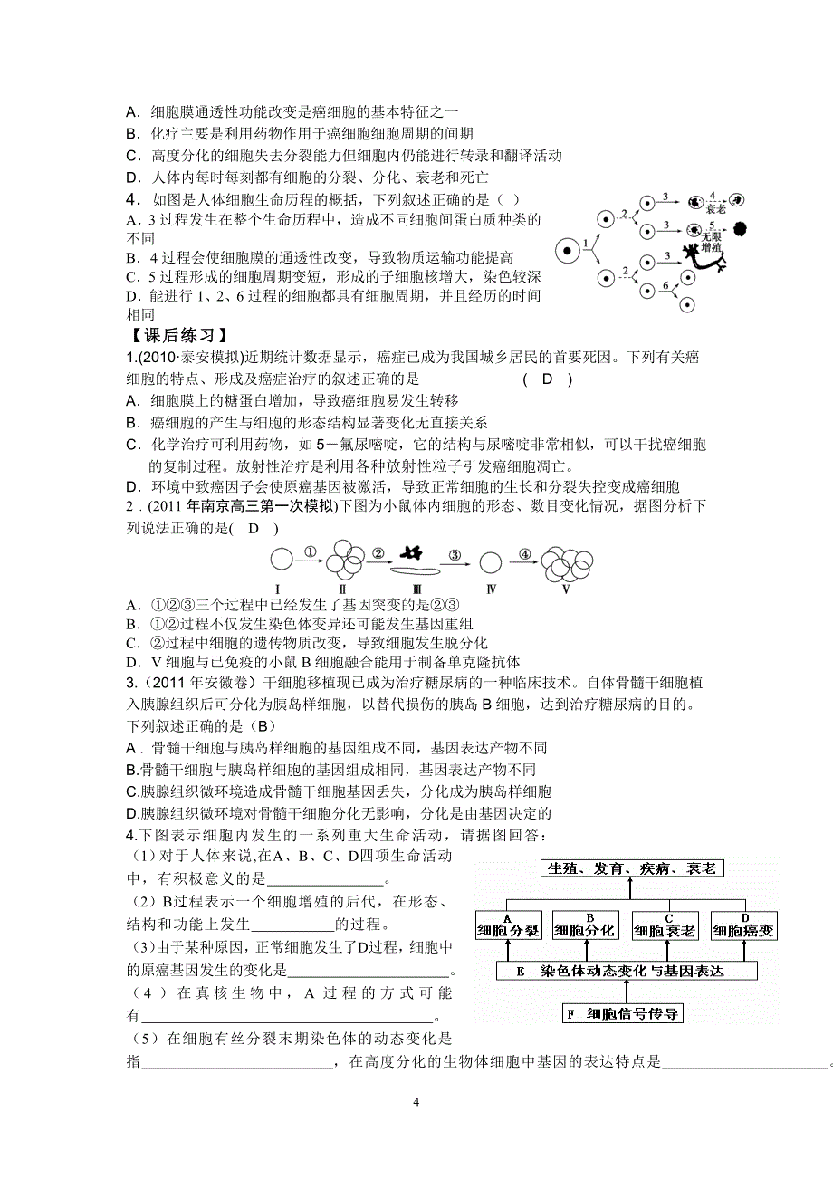 细胞分化 细胞的衰老、凋亡和癌变 复习学案_第4页