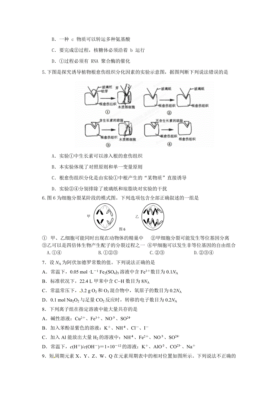 广东省汕头市潮南区2015届高三5月高考模拟理科综合试题 word版含答案_第2页