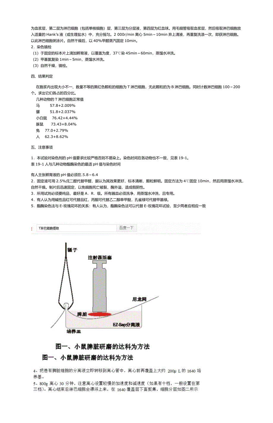 细胞活力的测定_第4页