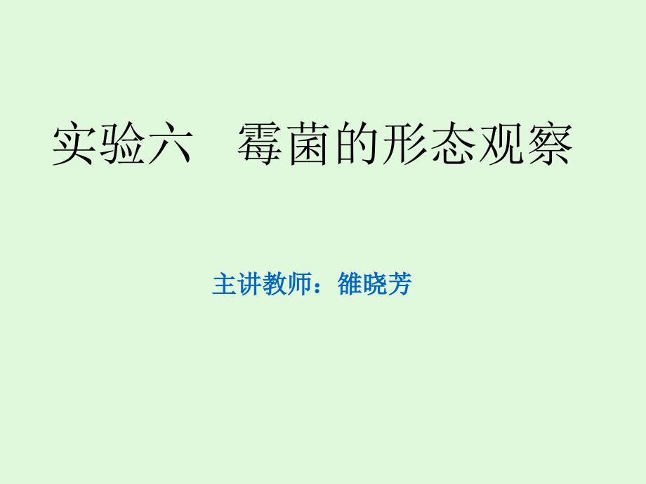 实验六霉菌的形态观察_第1页