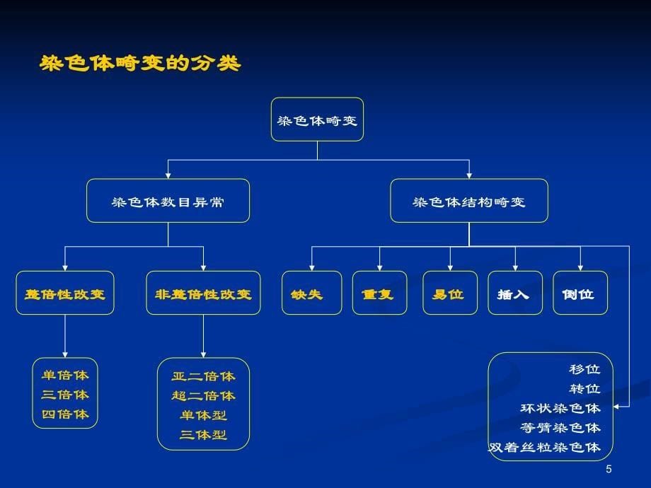 细胞遗传学-染色体畸变(一)_第5页