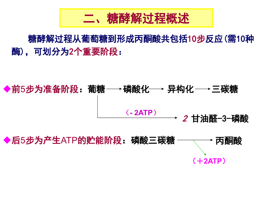 [医药卫生]4糖代谢复习120515_第3页