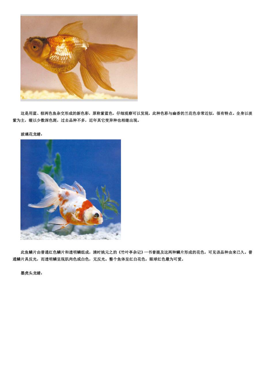 [水产渔业]金鱼种类大全彩图版_第4页
