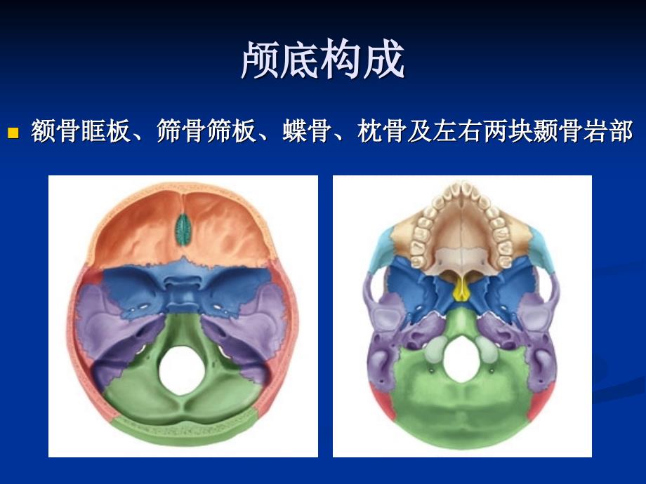 颅底影像解剖_第3页