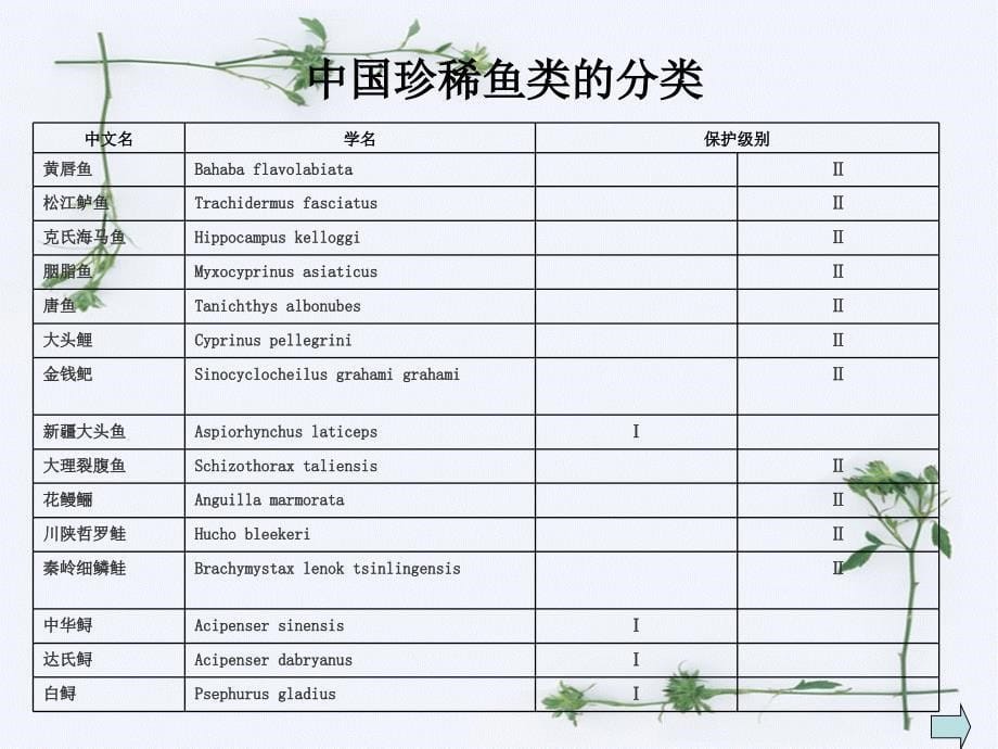 珍稀鱼类,药用鱼类_第5页