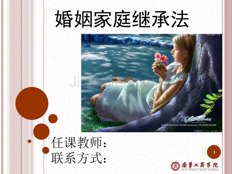 [法学]婚姻家庭继承法专题一_第1页