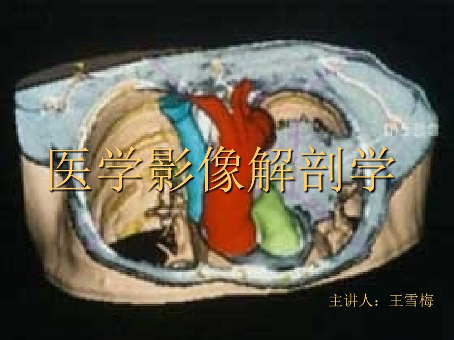 医学影像学的发展过程_第1页