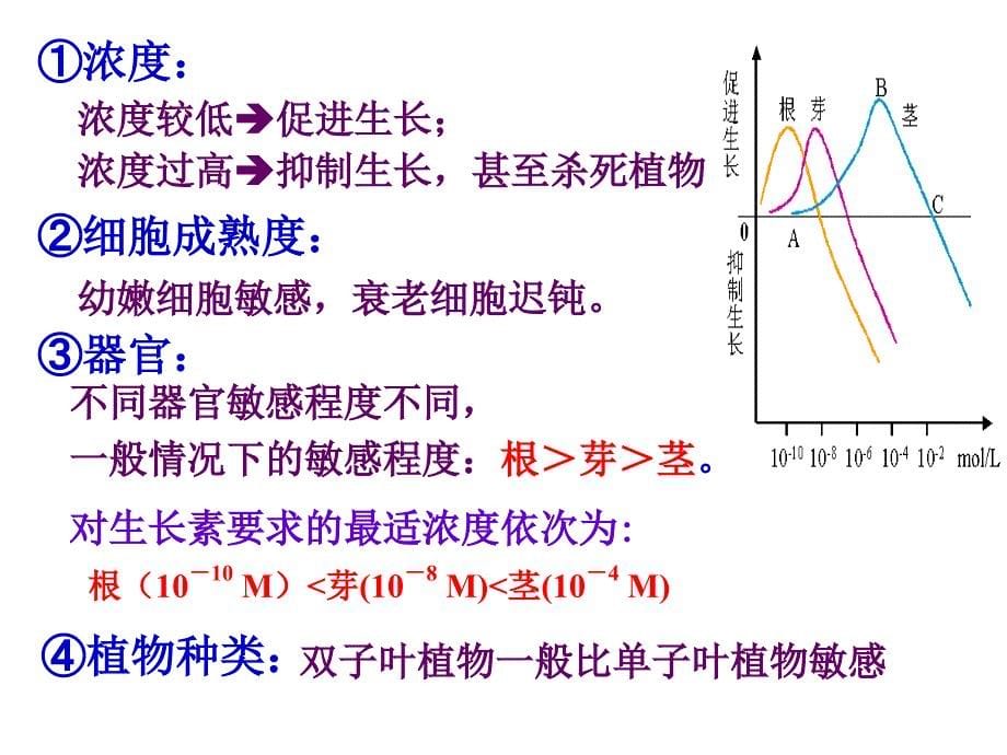 高中生物：生长素的生理作用_第5页