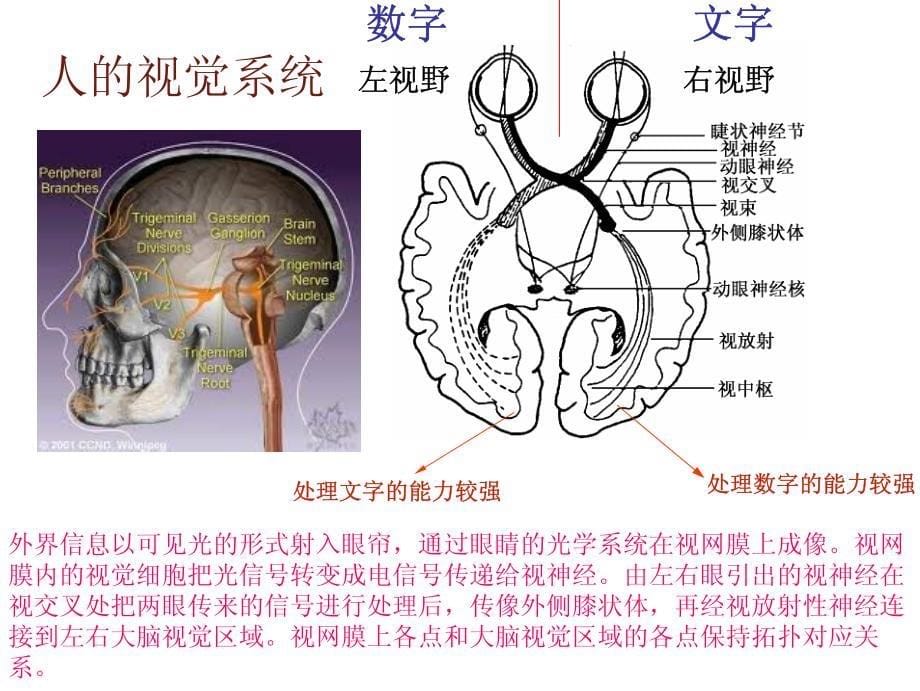 [工学]视觉和显示器件成像原理-tanzhanao下载10次_第5页