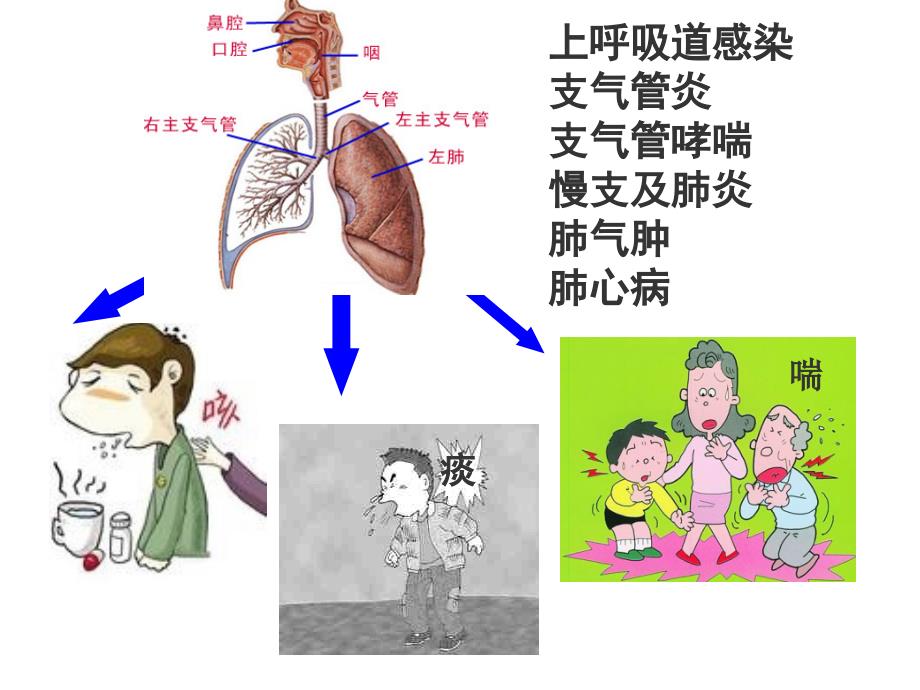 平喘镇咳祛痰药_第3页