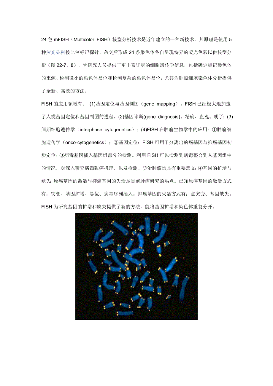 动物细胞染色体荧光原位杂交_第4页