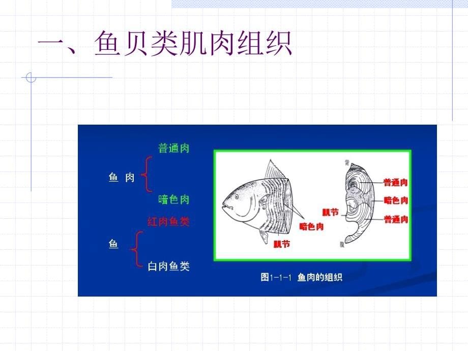 水产食品原料的营养成分_第5页