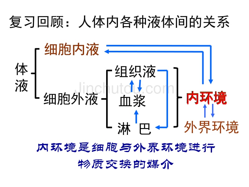 必修3-01-02内环境稳态的重要性_第2页