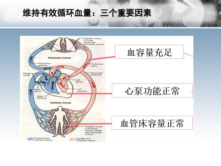 心源性休克诊治思路与进展_第3页