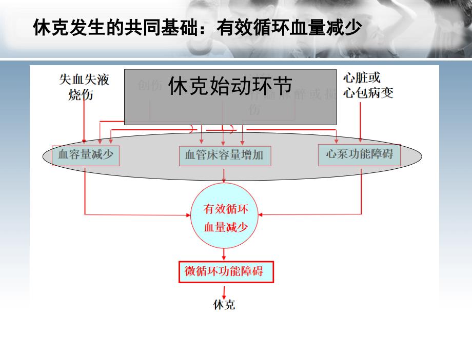 心源性休克诊治思路与进展_第4页