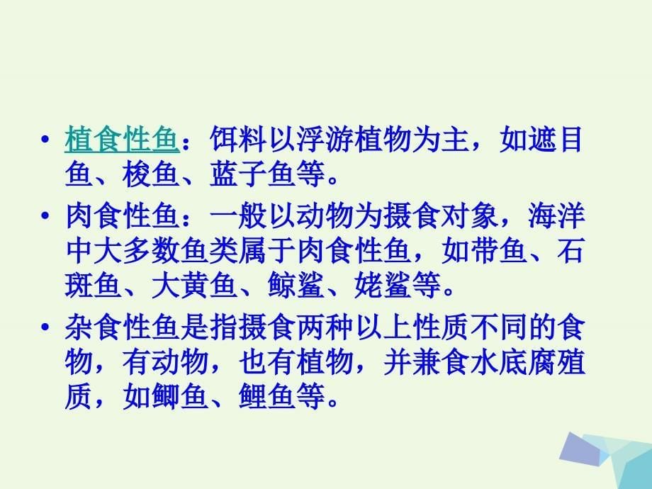 2016届五年级科学上册 1.6 做一个生态瓶课件1 教科版_第5页