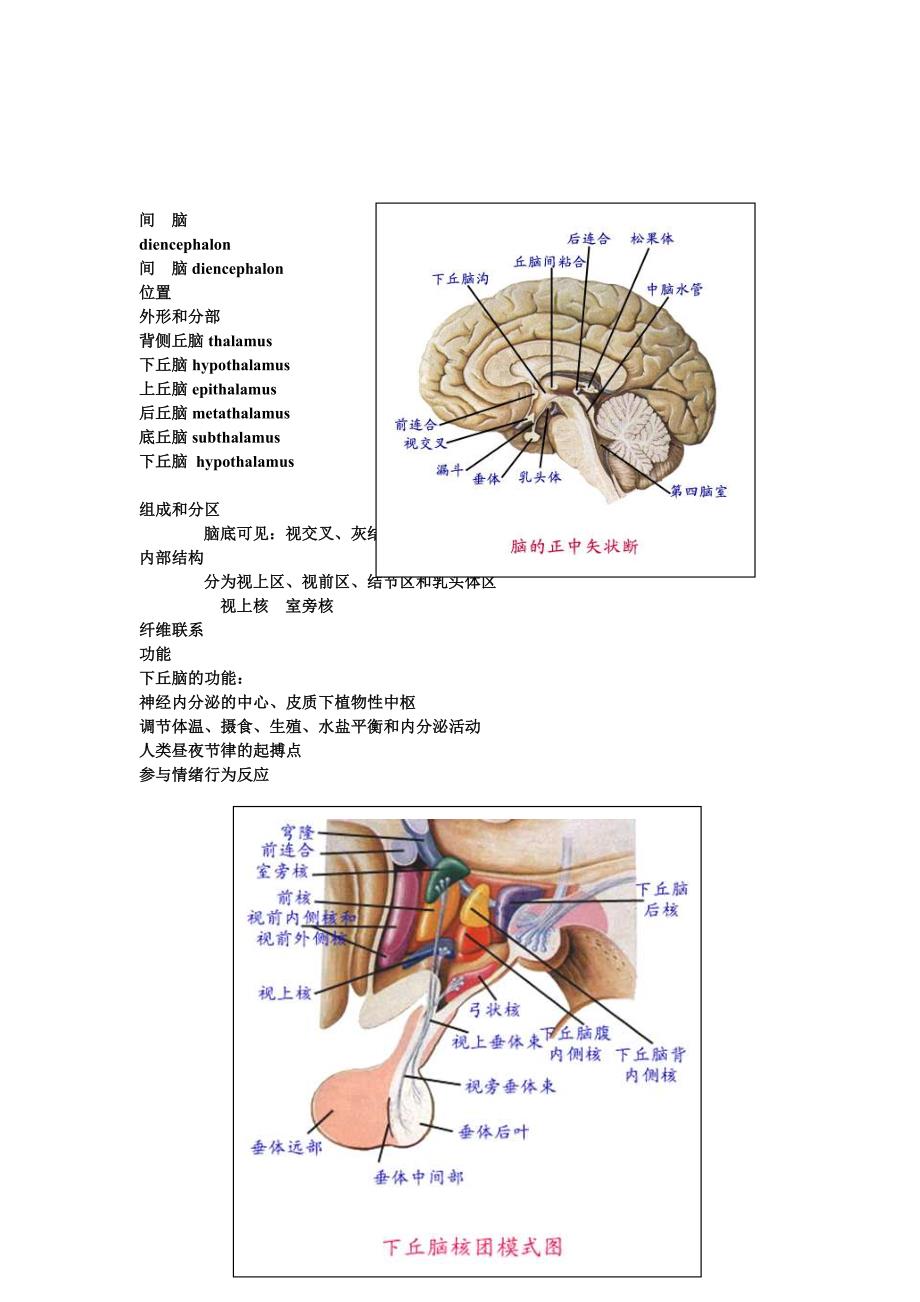 神经外科解剖+意识评分_第4页
