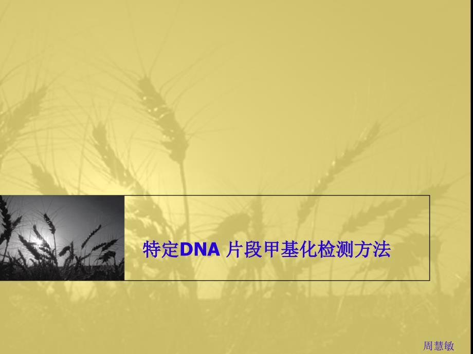 特定dna 片段甲基化检测方法_第1页